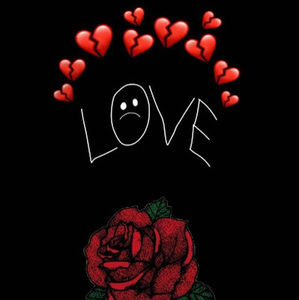 Meet your Posher, Izzy